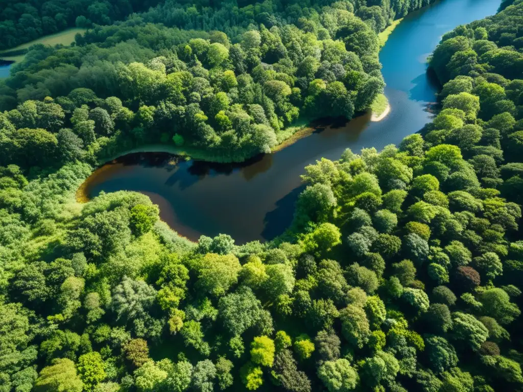 Imagen impactante de un exuberante bosque con un río serpenteante y paisajes vibrantes