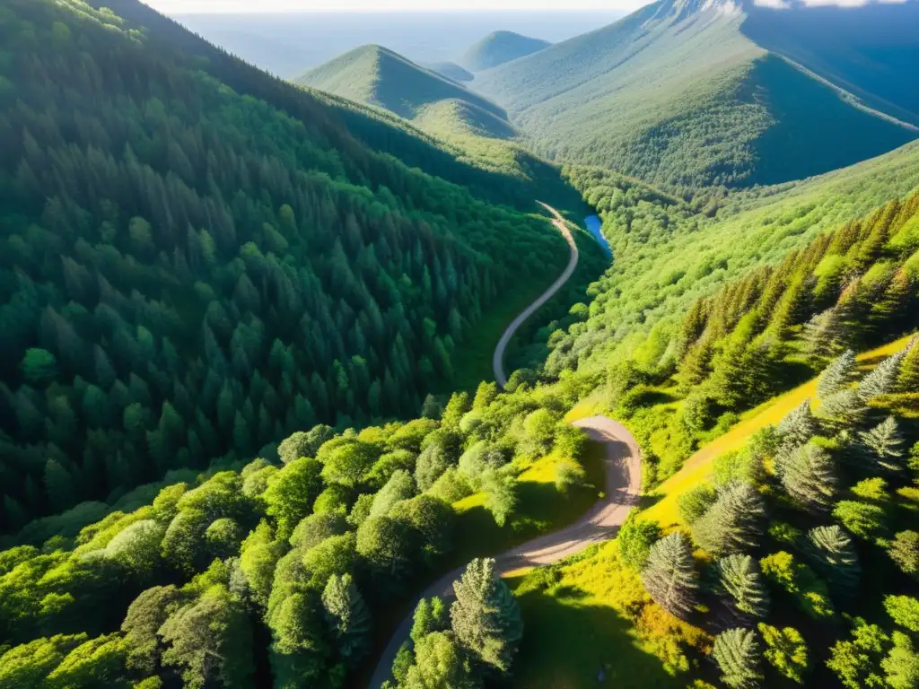 Senderismo en la naturaleza: un sendero serpenteante a través de un bosque verde exuberante